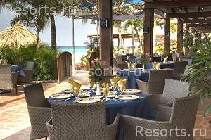 Divi Aruba Beach Resort Mega 8